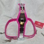 Chastity Belt w/ Thigh Cuffs & 2 Plugs (Female, Pink)