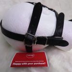 Ball Gag w/ Blindfold Harness (Red) - Image 3