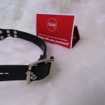 Double Ended Penis Gag - Image 4
