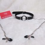 Nipple Clamps w/ Leather O Ring Gag