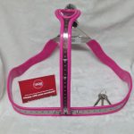 High Hip Chastity Belt (Male, Pink) - Image 7