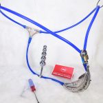Chastity Belt w/  Plug (Male, Blue)