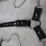 Nipple Clamps & Cock Ring - Image 4