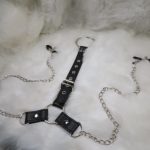 Nipple Clamps & Cock Ring