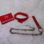 Red Plush Bell Collar - Image 5