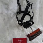 Brush Ball Gag locking - Image 2