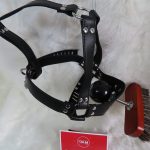 Brush Ball Gag locking