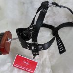 Brush Ball Gag locking - Image 5