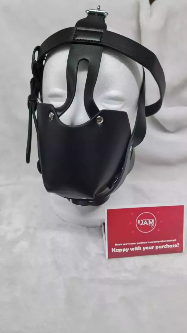 5 strap Head Harness with Hidden Dribble ball Gag with padlocks - Image 2