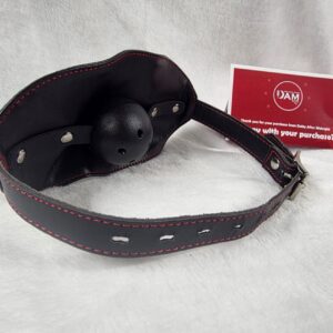 Mask with Hidden Ball Gag