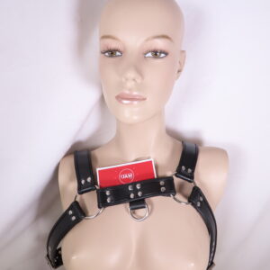 Black Puppy Play Harnesses